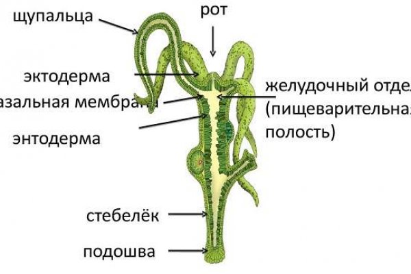 Кракен сайт закладок